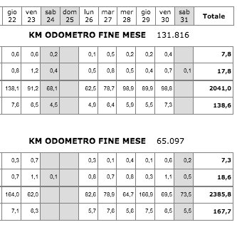 Report mensile sulle attività dei veicoli